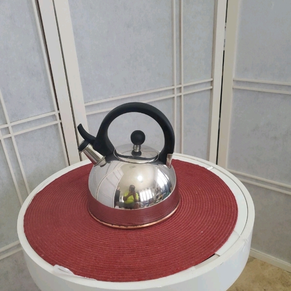 Copco Stainless Steel Kettle with Black Handle
